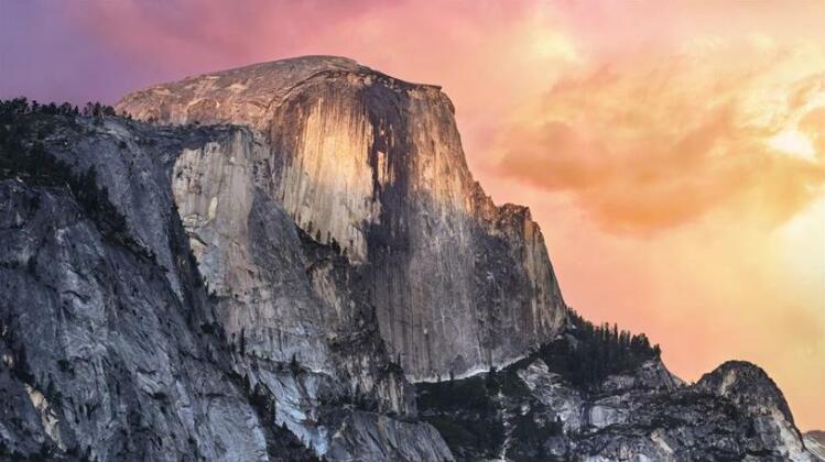 Yosemite Sierra Blossom - Photo5