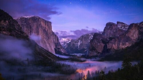 Yosemite Sierra Blossom