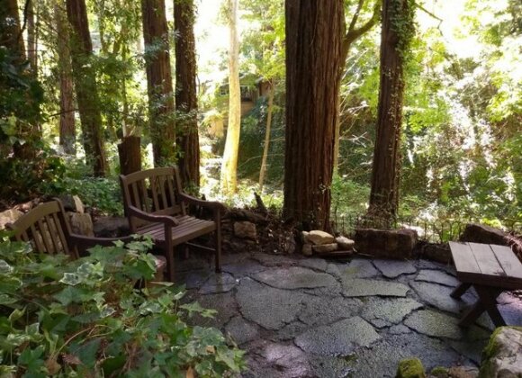 Cottage on the Creek/Nestled Under Redwoods - Private Creek Access - Photo3