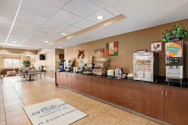 Microtel Inn and Suites - Zephyrhills - Photo5