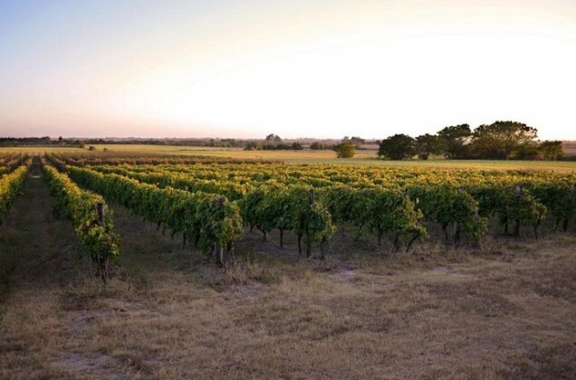 Entre Vinas - Photo3