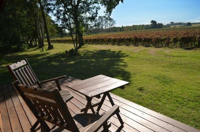 Entre Vinas - Photo4