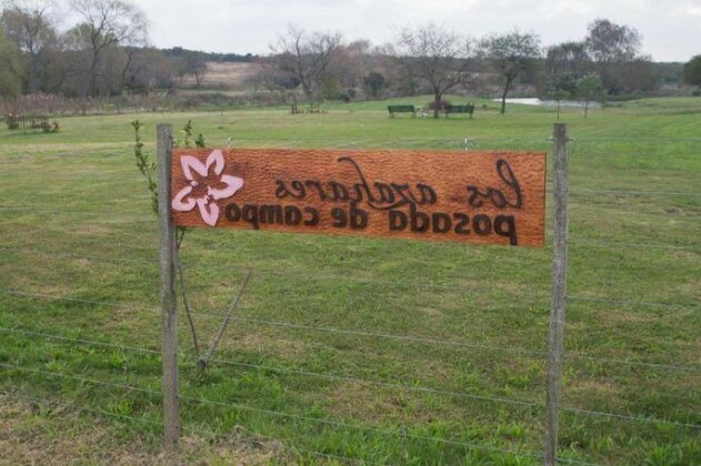Los Azahares - Photo2