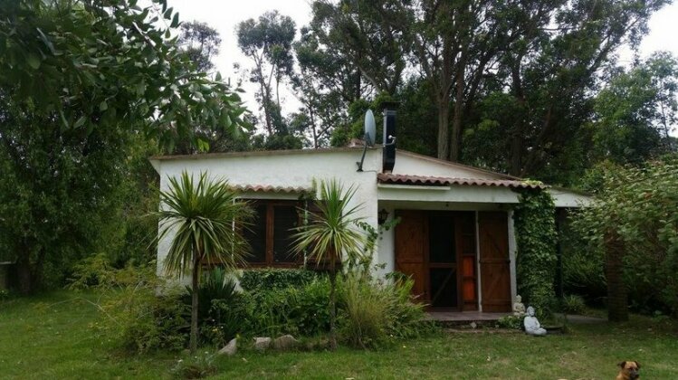 Las Palmeras Castillos - Photo2