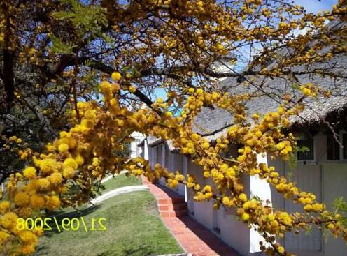 Sol De Las Canas - Photo2