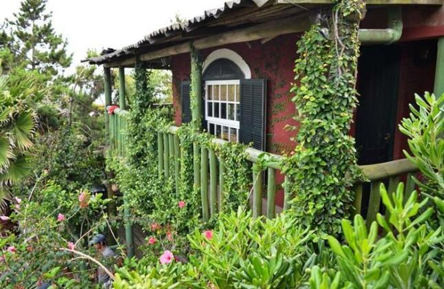 Posada Paradiso - Photo2