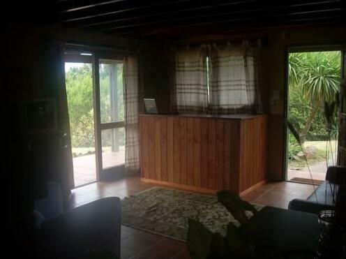 Proa Amarilla - Photo3