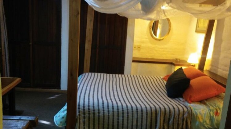 Alba Luz - Photo4