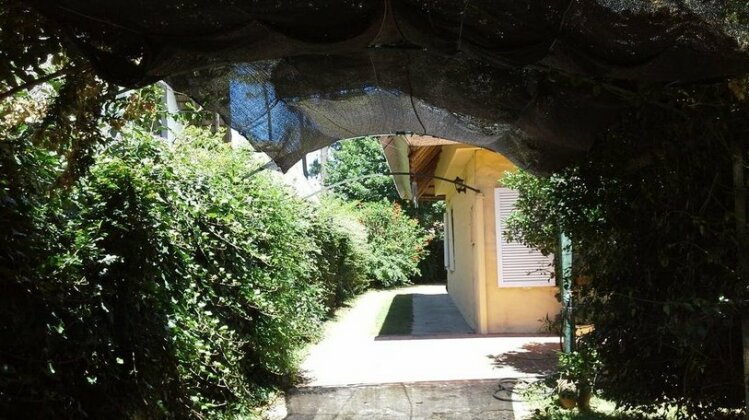 Mi Rincon
