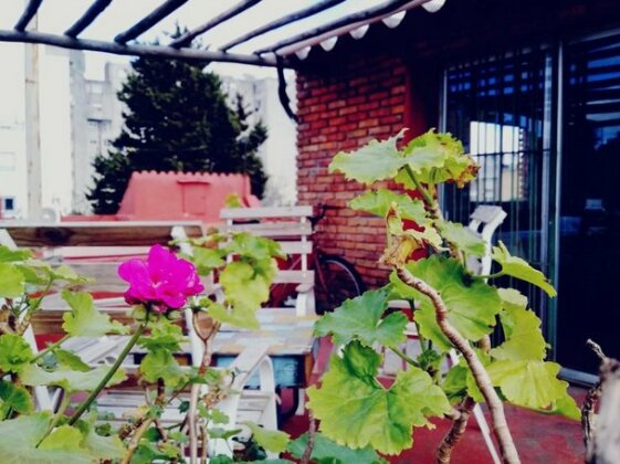 Casa Cerca del Mar Montevideo - Photo3