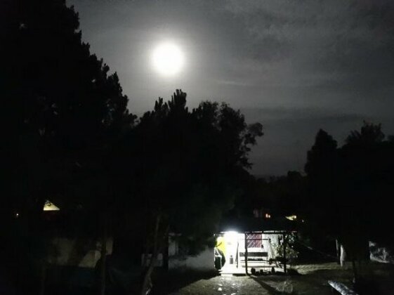 ParqueMadera - Photo2