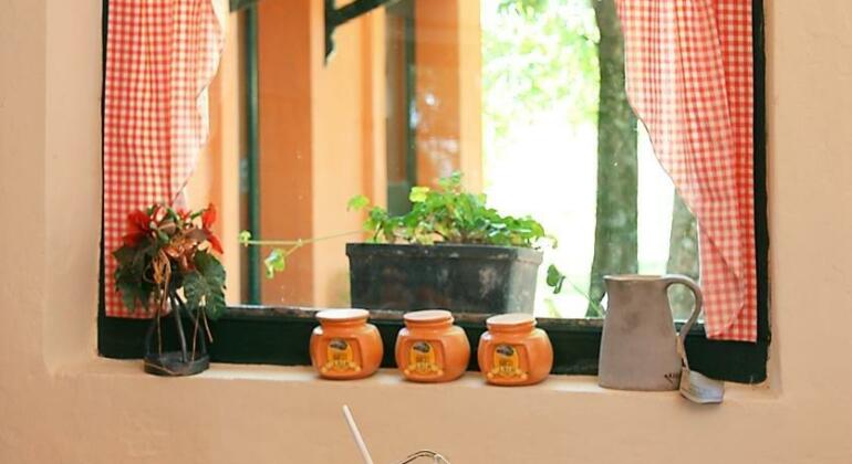 Hosteria Estancia La Paz - Photo5