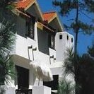 Forest Resort - Photo2