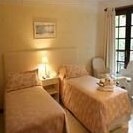 Forest Resort - Photo4