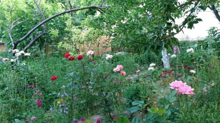 Antica B & B Samarkand - Photo3