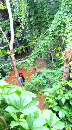 Botanical Guest House - Photo2