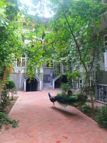 Botanical Guest House - Photo3