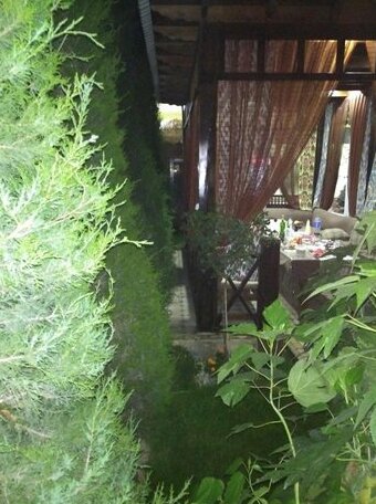 Green House Samarkand - Photo5