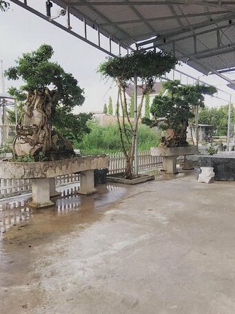 Chi Hieu Hotel - Photo2