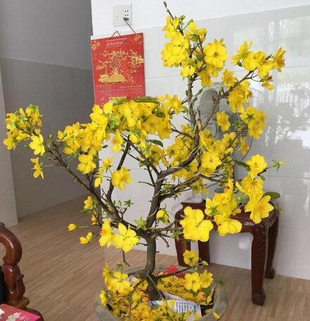 Mai Vang Homestay - Photo2