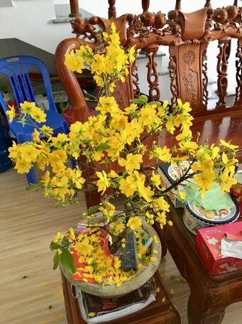 Mai Vang Homestay - Photo3