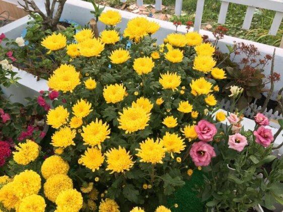 Mai Vang Homestay - Photo5