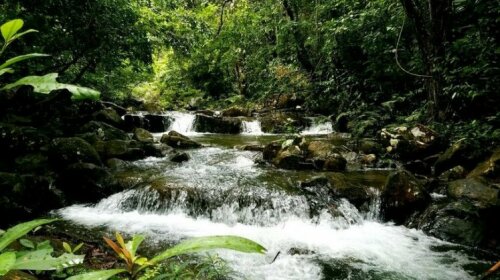 Hoa Phuong Hotel Bo Trach