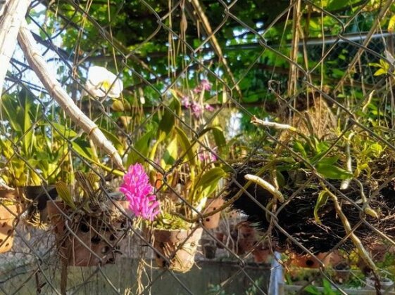 Bazan House - Photo4