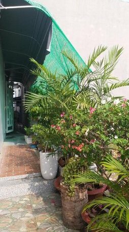 Alice's House- Sunflower Homestay - Photo5