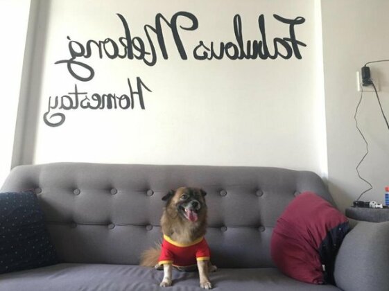 Fabulous Mekong Homestay - Photo3