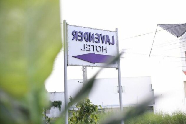 Lavender Hotel Can Tho - Photo3