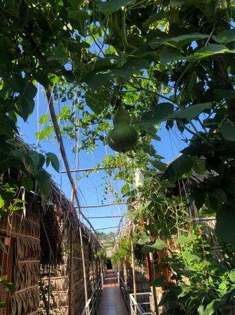 Nha Homestay Can Tho - Photo5