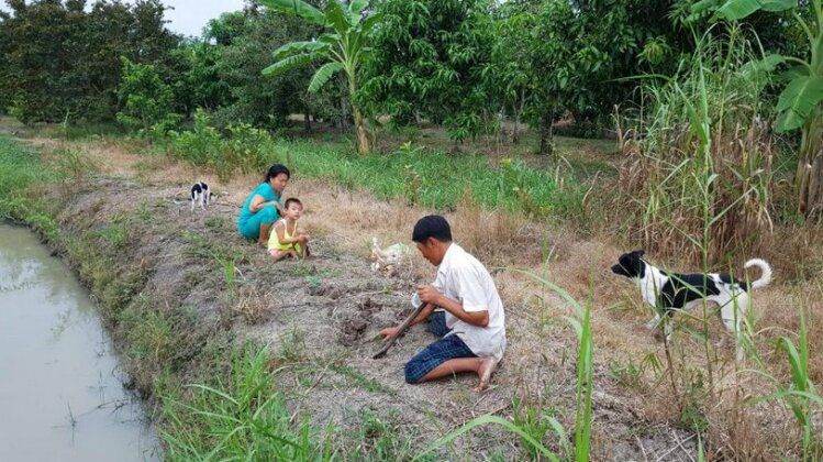 Stiermann's Ricefield Lodge - Photo4