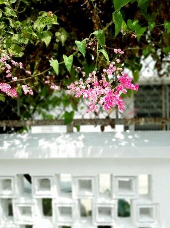 Tigon home - Photo5