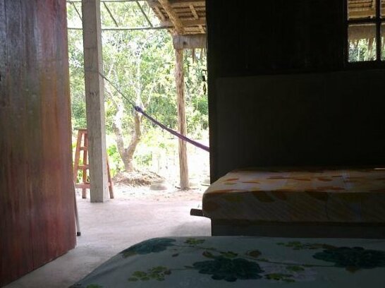 Hong Thai Homestay - Photo4