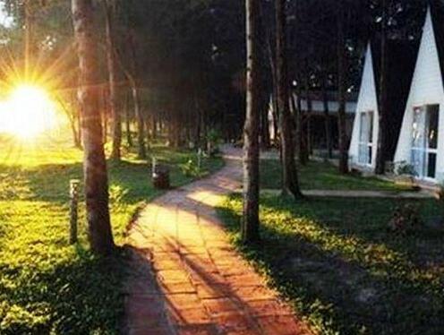 Con Dao Camping - Photo5