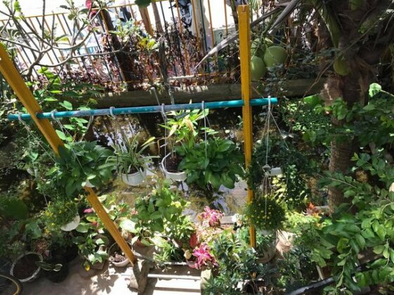 Uyenhouse - Photo3