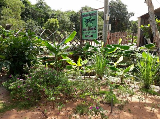 Banana Homestay Cua Duong - Photo2