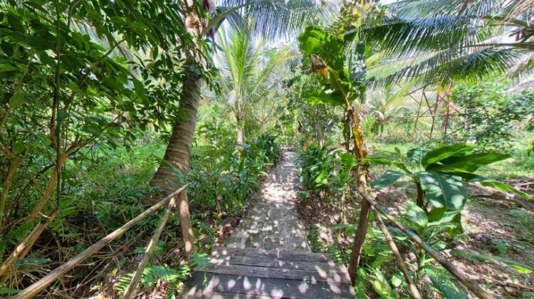 Freedomland Phu Quoc Resort - Photo4