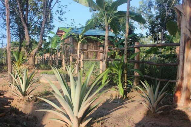 Pepper Farm Phu Quoc - Photo2
