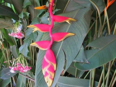 Seaside Homestay Cua Duong