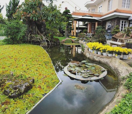 An Nhien Villa - Photo2