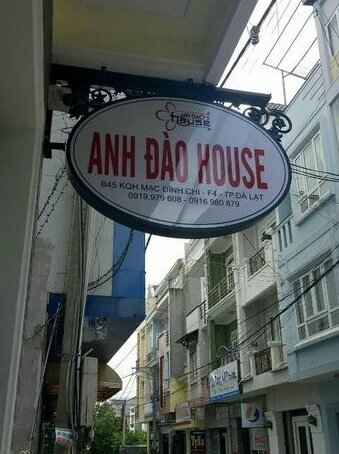 Anh Dao House