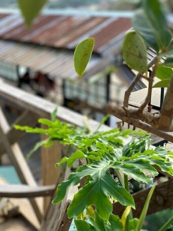 Cactus's Homestay - Photo4