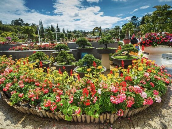 Dalat Lavita - Photo4