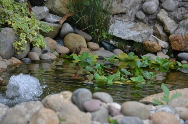 Dalat Topview Homestay - Photo4