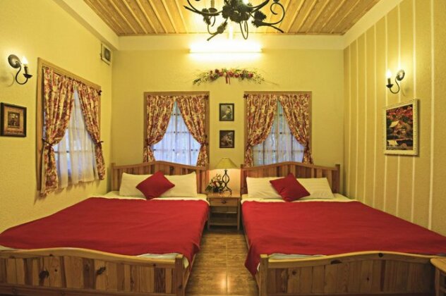 Flowersandrocks Villa - Photo2