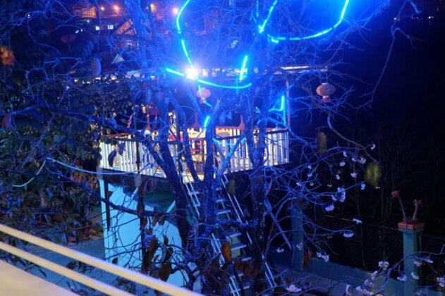 Hoa Bat Tien Homestay - Photo5