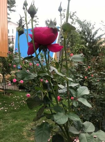 Homestay Khu Vuon Quoc Gia - Photo2