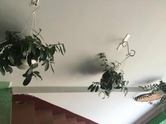 Ladophar Hotel - Photo3